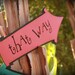 Alice in Wonderland (this way, that way) signs