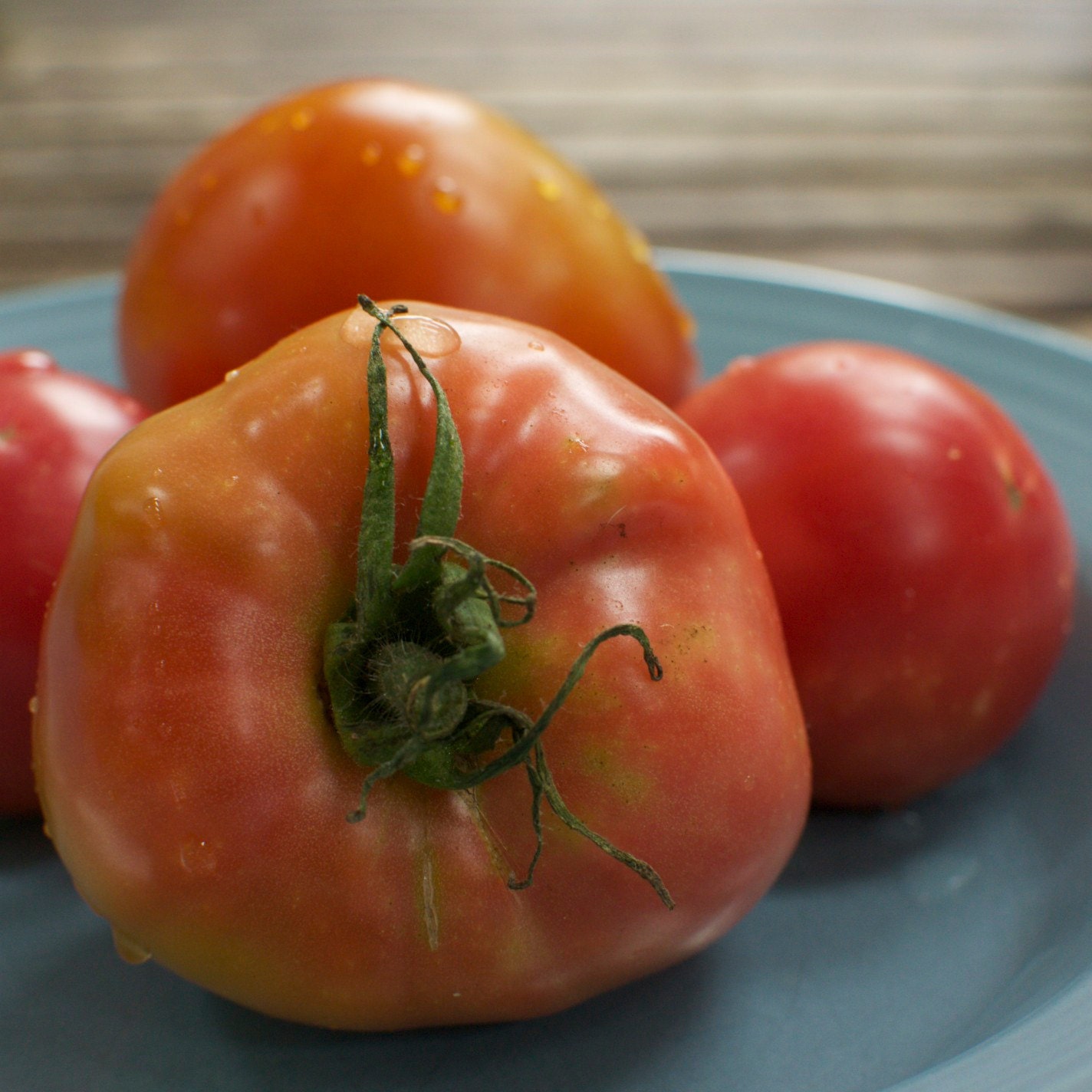 Heirloom Brandywine Tomato Seeds