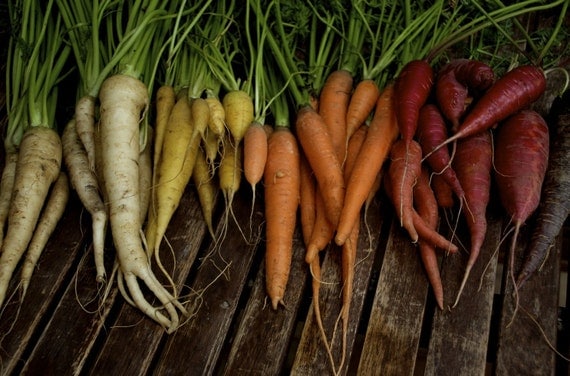 Colourful Carrot Mix Organic Heirloom Seeds
