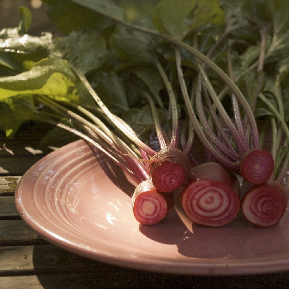 Chioggia Beets - Organic Striped Chioggia Beet Seeds