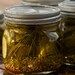 Organic Pickling Cucumber Seeds - A and C Cuccumber