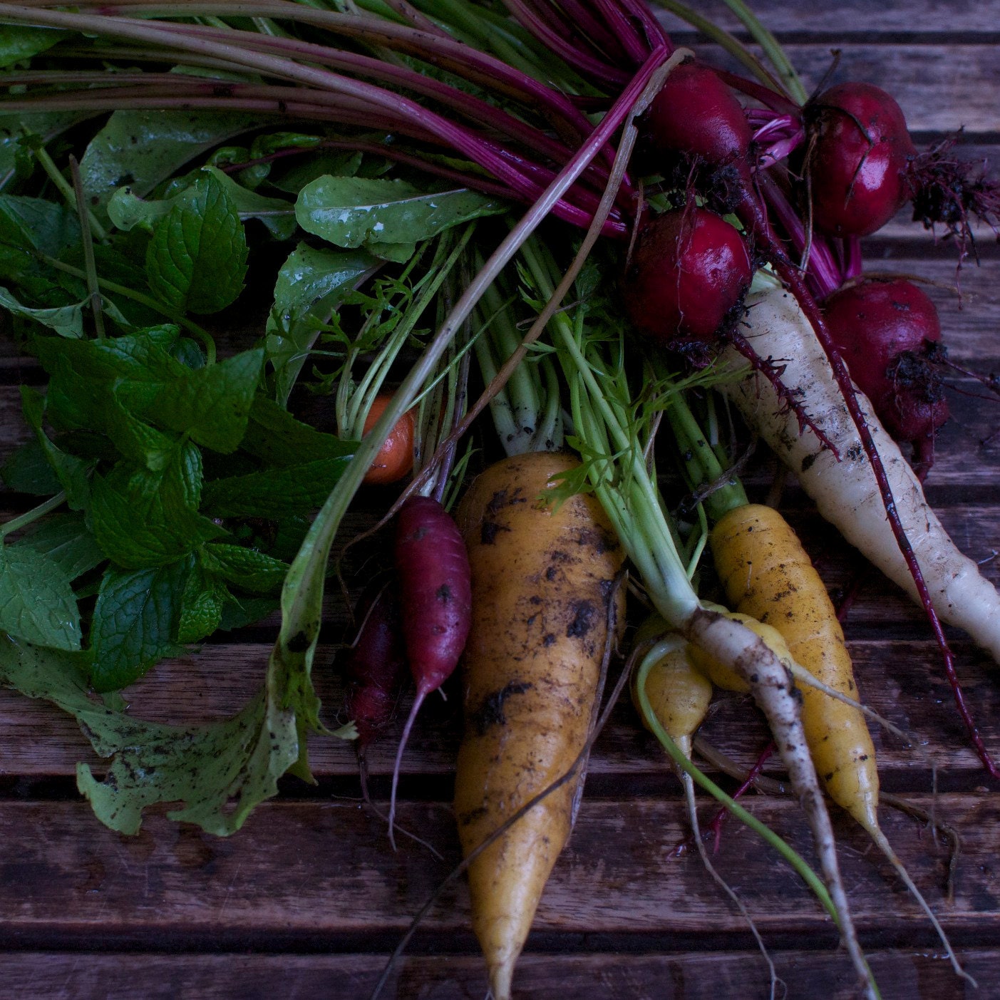 Organic Mixed Beet Seed Mix - Grow our Jewel Toned Beets for a Colorful Garden