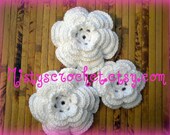 Flowers in Bloom Appliques