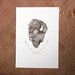 Bison gocco print