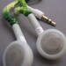 Earlaces (lime forest)