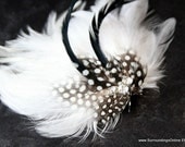 Striking Black and White Feather Veil Comb and Fascinator