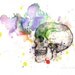 Skull in a Splash of Color Watercolor Painting Fine Art Print