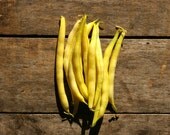Organic Vegetable Seeds, Yellow Wax Bush Bean, heirloom seed from our farm in handmade seed packets