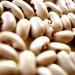 Organic Vegetable Seeds, Soldier Dry Bean, heirloom seeds from our farm in handmade seed packets, vegetable garden, gardening supplies