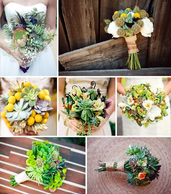 6 Large Succulent CUTTINGS, Rosette Shape, Great Size For Your Bouquet, Wedding Decor, From 4 Inch Pots