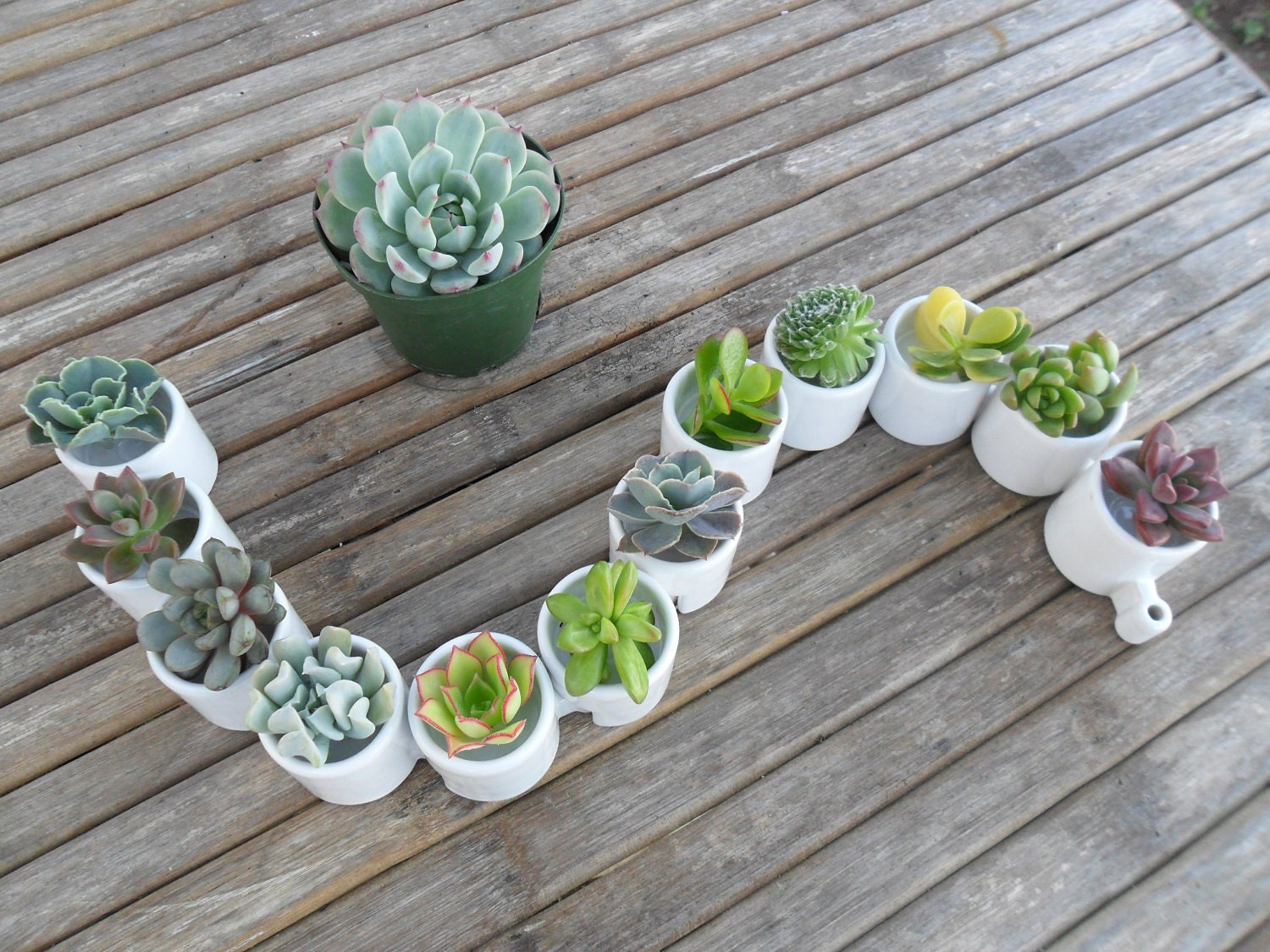 Succulent Centerpiece, White Ceramic, Table Top Decor, Great For A Wedding, Garden Party Or Special Event