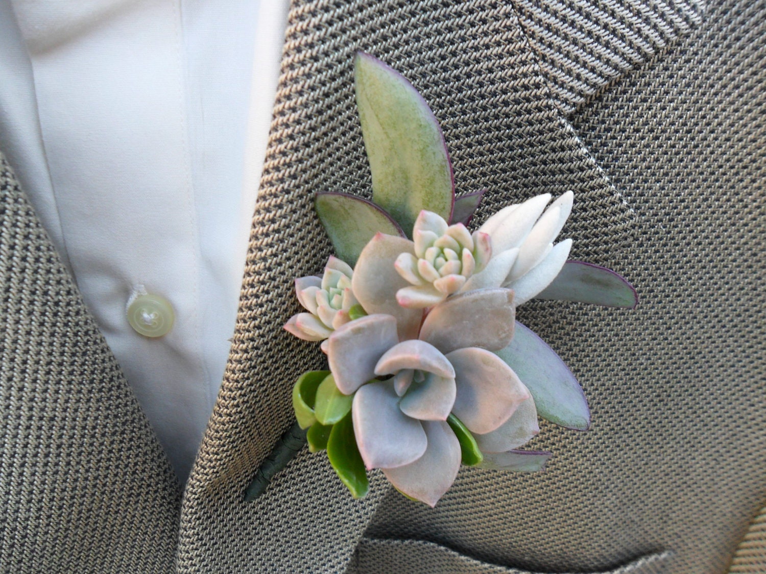 RESERVED For Tara Marie,  8 Boutonnieres For Your Wedding, Ship Date April 4th