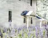 Lupine Cottage - 8x12 Print
