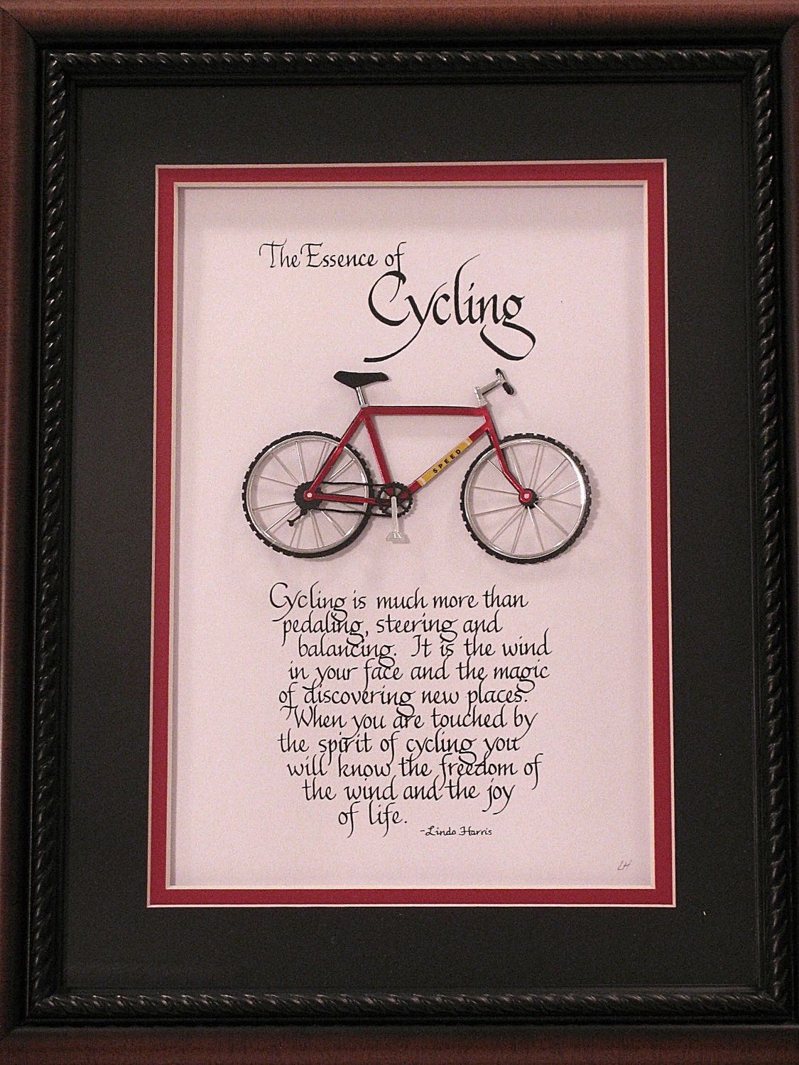 The Essence of Cycling - Without Frame