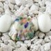 Handmade Lampwork Bead Set (3) glass bead Seashell Trio