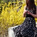 Chiffon dress with butterfly(E61171187)