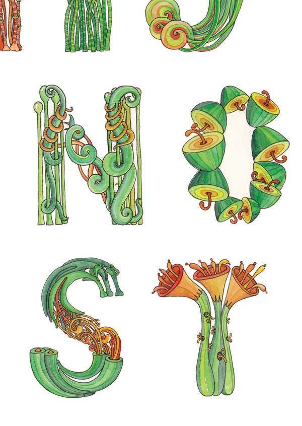 ORGANIC ABC / Mini Poster