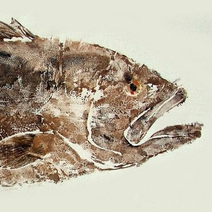 Black Grouper - Gyotaku Fish Rubbing - Limited Edition Print (32.5 x 13.5)