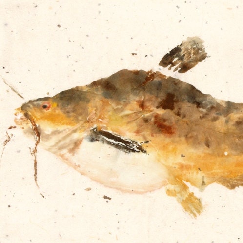 Butter Catfish - Gyotaku Fish Rubbing - Limited Edition Print (15 x 7.5)