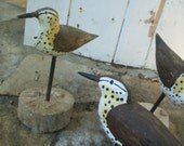Wooden Shore Birds- Hand Carved