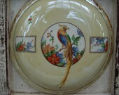 Beautiful Bird Wall Hanging