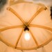 White heat Reindeer and Baltic Birch pendant light