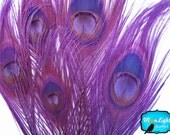 Purple Peacock feathers, 5 Pieces - PURPLE Bleached and Dyed Tails Peacock Feathers: 264