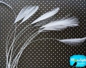 1 Dozen - WHITE stripped rooster hackle feather : 352