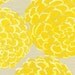 Valori Wells Del Hi Pom Pom Sun Home Dec fabric by the yard
