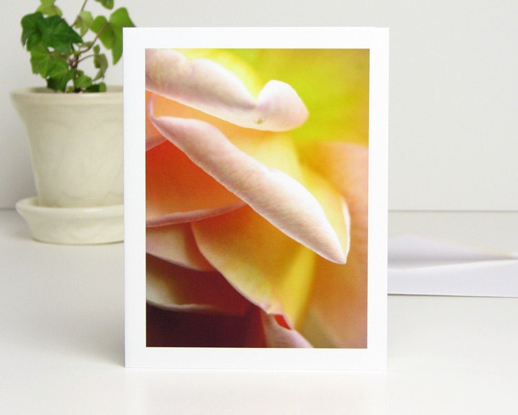 Floral Photo Note Card, Rose Petals Photograph, apricot, peach, pink, yellow, Abraham Darby English Rose flower photography