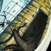 Custom Vans- Circa Survive