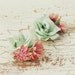Mint roses - vintage millinery clip set