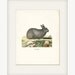 Woodland Rabbit Art Print- Le Lapin Print Wall Decor Illustration 8x10