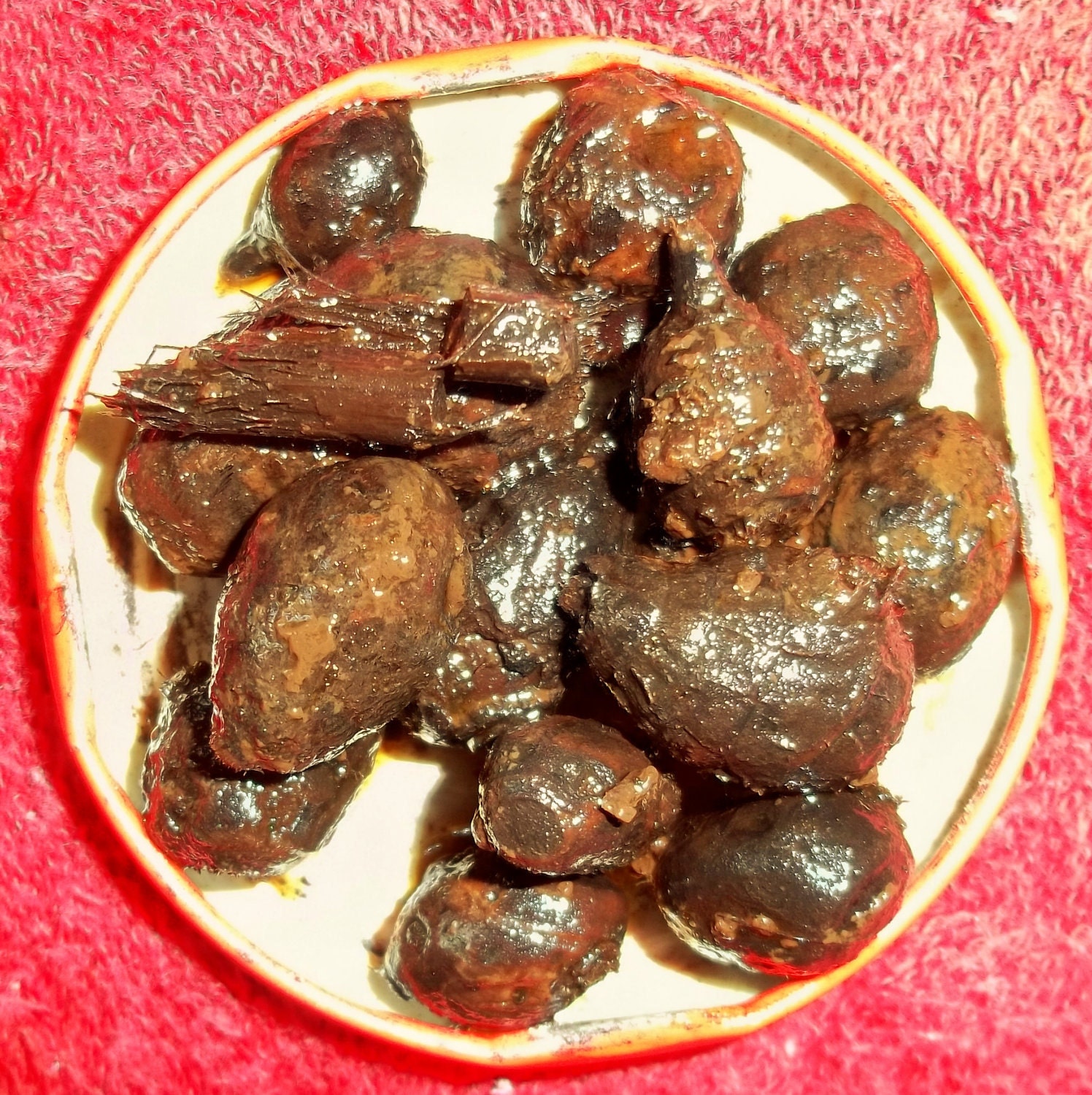 Senegalese THIOURAYE Incense GODJIE 3oz) - Bliss On A Charcoal Disk