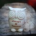 owl home decor "always & forever " on ivory white