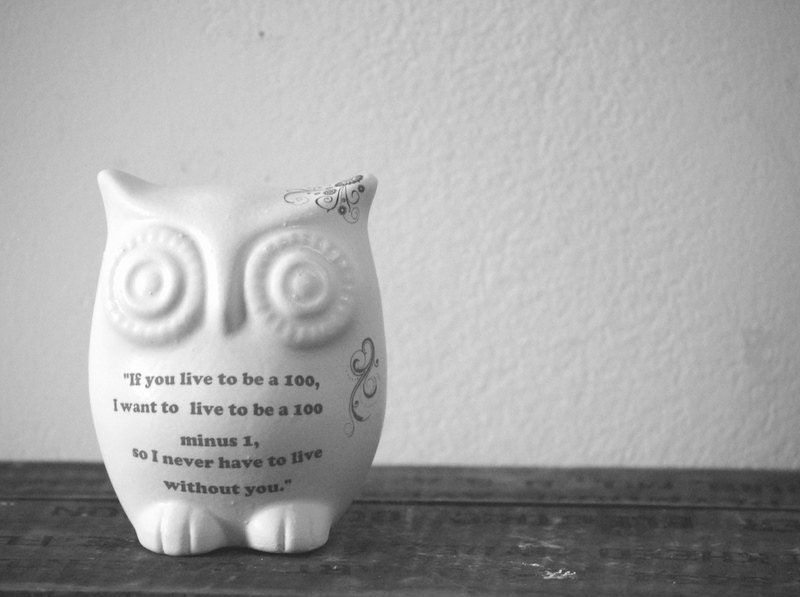 Owl in ivory white with winnie the pooh quote