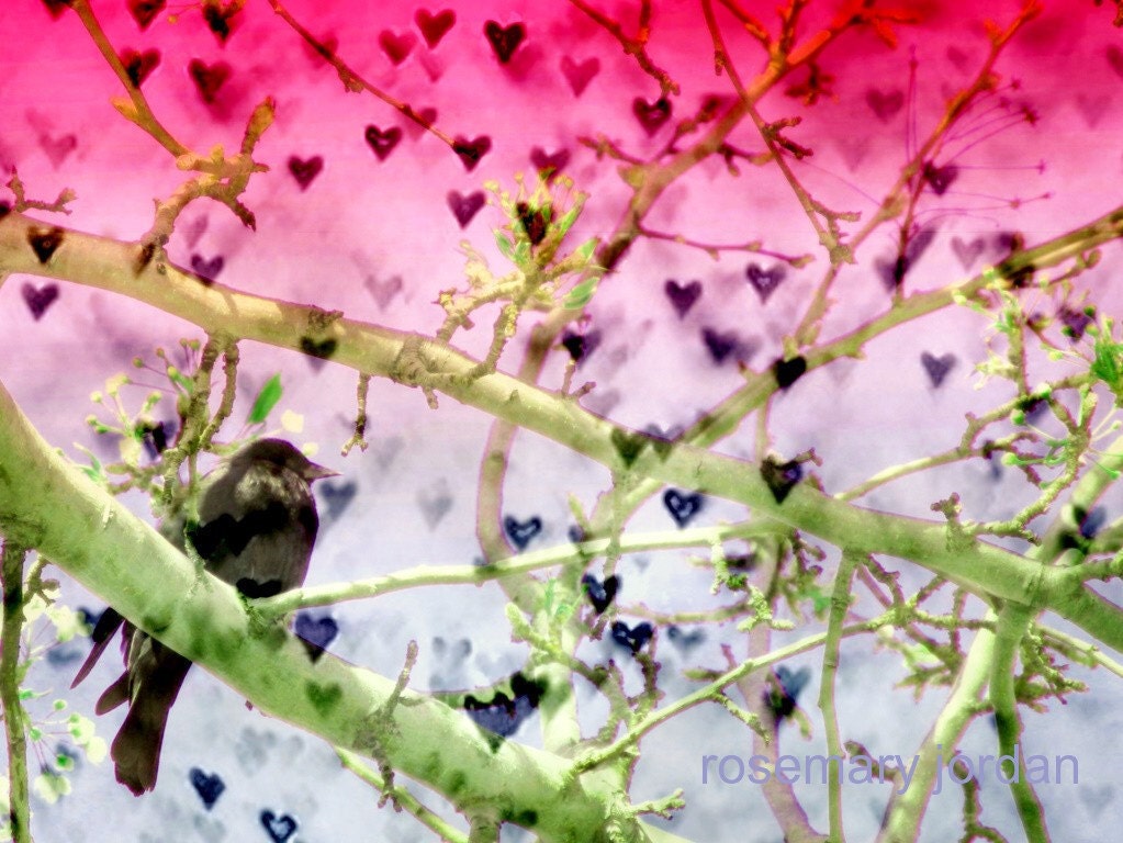 Love is in the Air, rainbow, confetti, hearts, birds, nature, trees, sky, blue, pink, raspberry, blueberry, strawberry, festive, balloons
