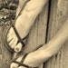Activator Sandal