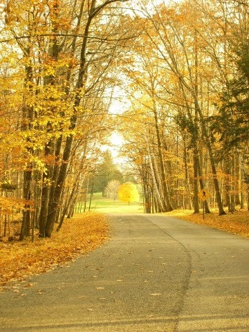 8x10 Print Peninsula State Park in Fall Photo