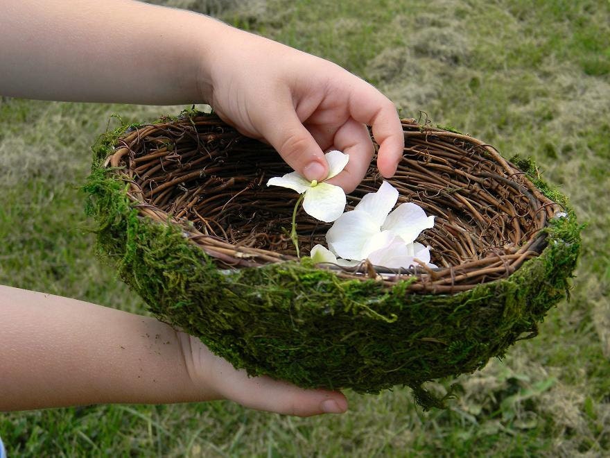 Bird Nest Basket