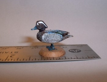 Garganey Teal