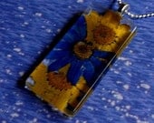 Summer Sun and Blue Skies-Crazy Daisies in Vivid Yellow & Blue-Pressed Flower Glass Pendant-Symbolizes Loyal Love