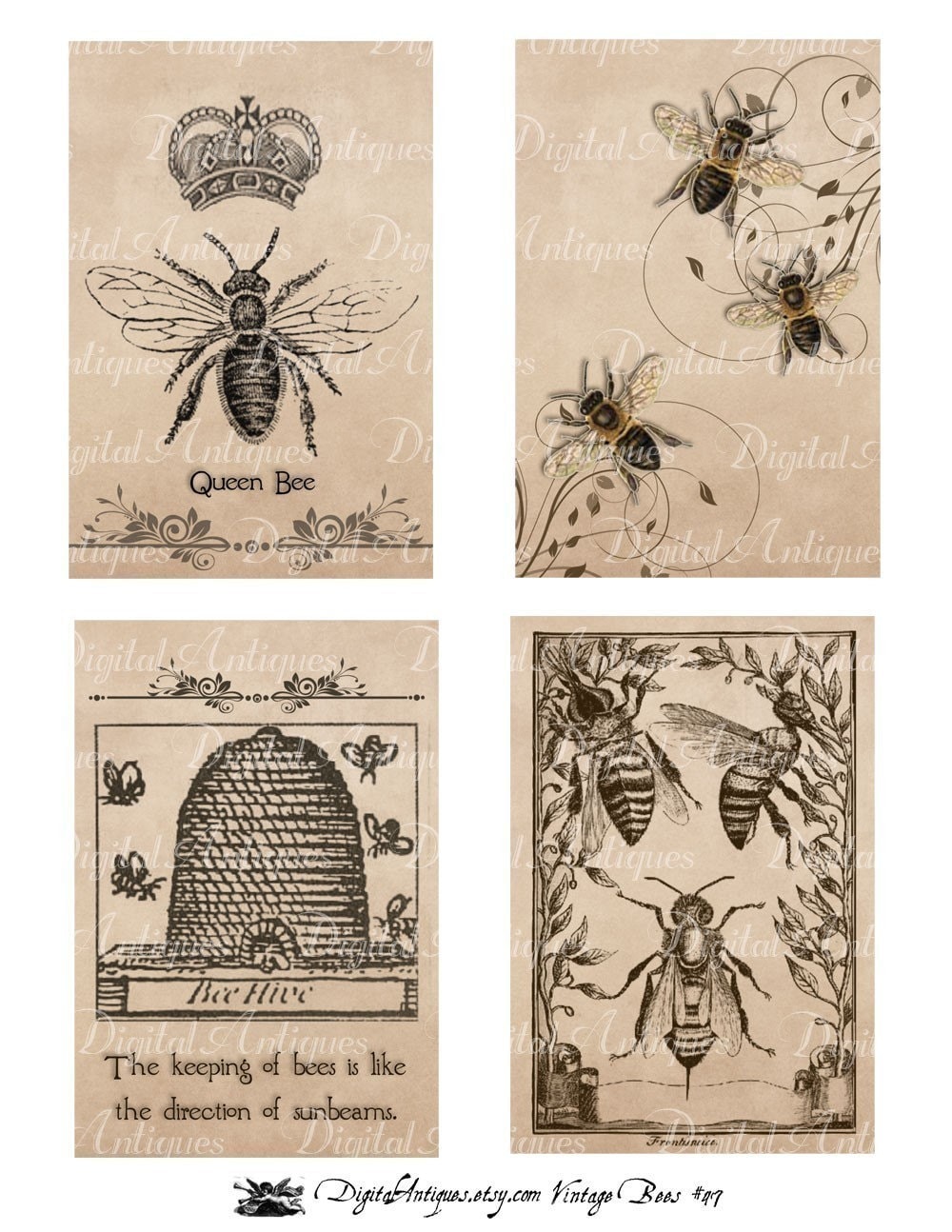 vintage bee prints