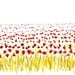 POPPY SEED FLOWER FIELDS - Limited edition to 100 prints
