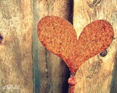 Rusty Heart Photography Print 5x7