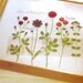 New Edition. Master Collection Kazuko Aoki 10 - Roses Roses - Japanese embroidery craft book