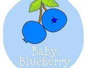Personalized Blueberry Design - Baby Bodysuit or Toddler Tee - Available in various colors and sizes