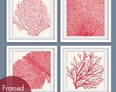 Underwater Sea Coral Collection (Series C) Set of 4 - 12x12 Art Poster Prints (Featured in Soft Cream and Ruby Red)