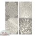 Underwater Sea Coral Collection (Series C) -Set of 4 - 8x10 Prints - Featured in Gravel and Soft Cream