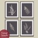 Ferns Garden Botanical Prints (Series D)-Set of 4- 8x10 Prints -(Featured in Charcoal Background and Cream)